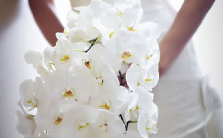 Why Orchids are perfect for Eco-friendly Micro Weddings